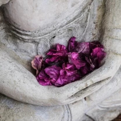 Close-up of a stone statue in a meditative pose holding dried purple flowers—symbolizing inner peace and the potential anti-aging effects of meditation on the mind and body.