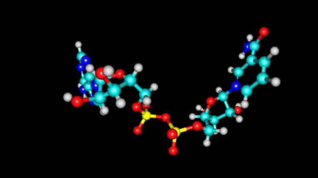 3D molecular model of NAD (nicotinamide adenine dinucleotide), a vital coenzyme involved in energy production, cellular repair, and aging-related biological processes.