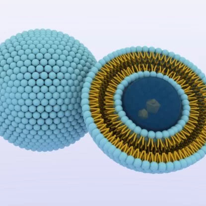 3D illustration of a liposome showing its double-layered phospholipid structure—used in liposomal drug delivery systems to enhance nutrient absorption and protect active ingredients.
