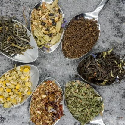Various loose-leaf teas displayed on metal spoons, showcasing herbal and traditional blends—highlighting the health benefits of drinking tea every day.