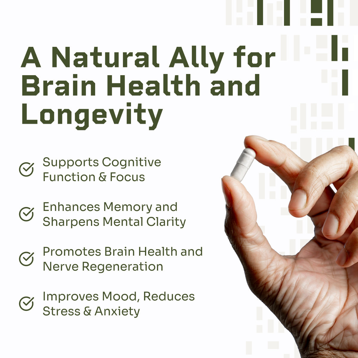 Lion's Mane Capsules