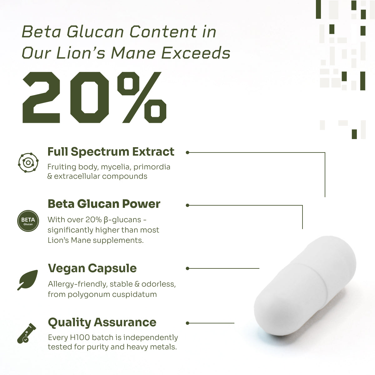 Lion's Mane Capsules