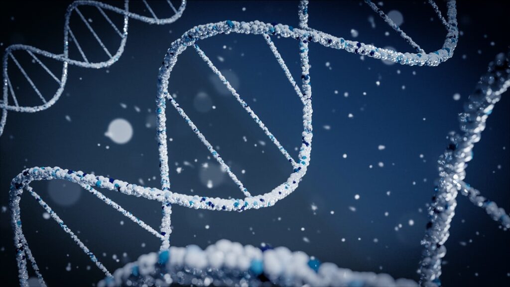 DNA, Sirtuins and Longevity