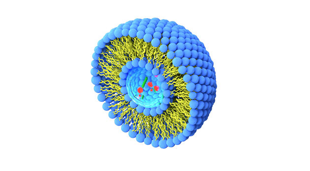 Half cut liposome