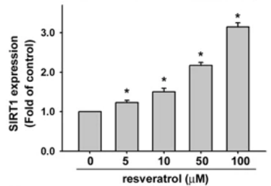 SIRT expression after taking resveratrol on a graph.