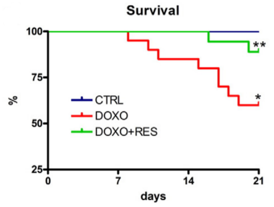 Survival Of people taking DOXO on a graph.