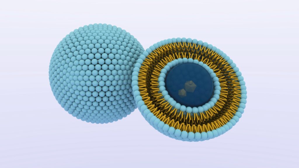 Liposomal NMN