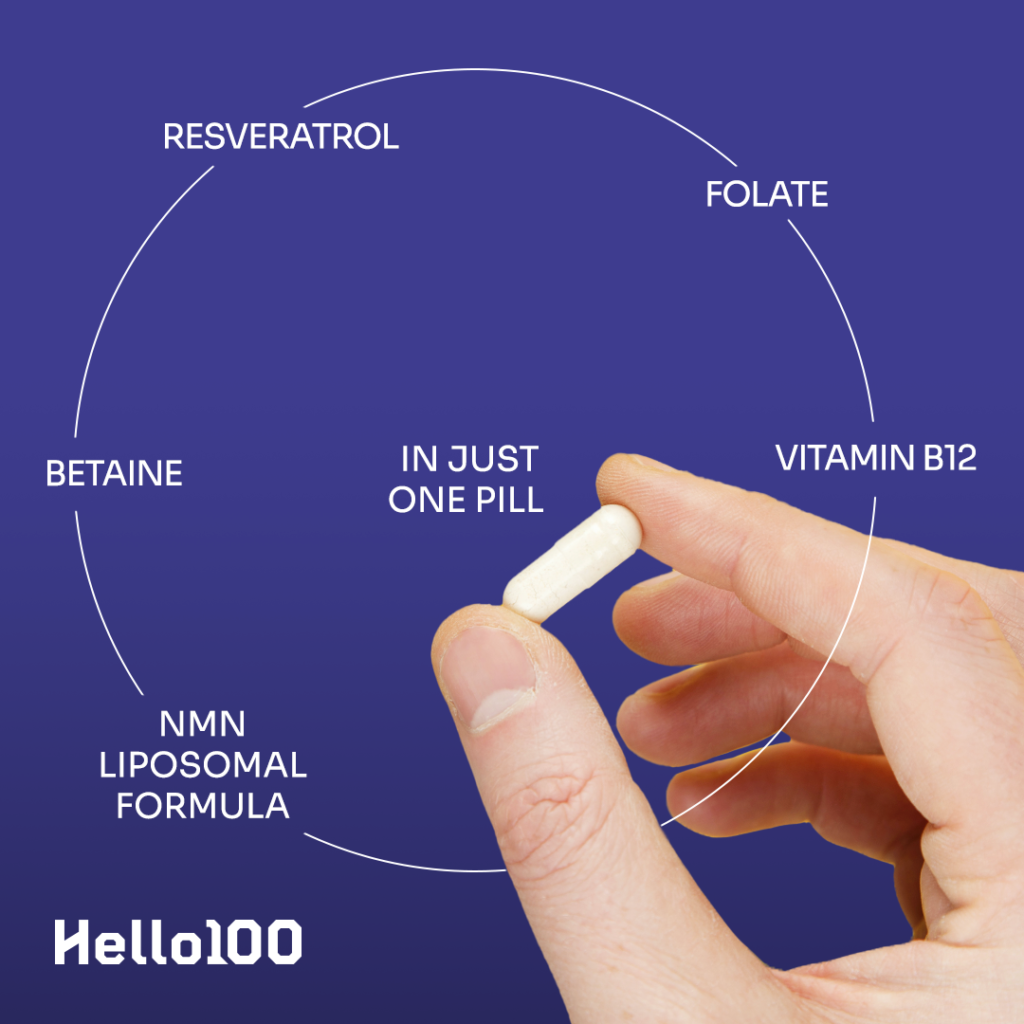 Hello100 Liposomal NMN capsule. Resveratrol. Folate. Betaine, Vitamin B12. NMN liposomal formula