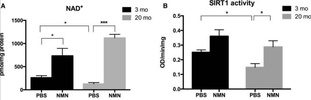 A graph showing the activity of SIRT1 gene and NAD+ levels.