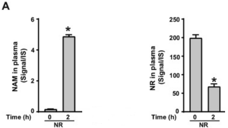 A graph showing how NR works in the cell