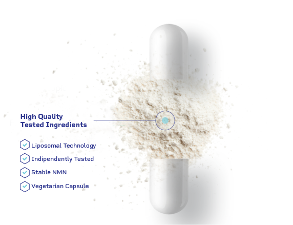 buy tested liposomal nmn capsule with 5 active ingredients