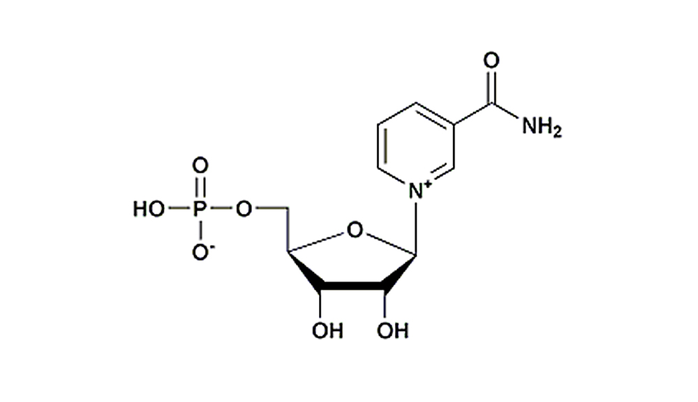 NMN(nicotinamide mononucleotide) structure