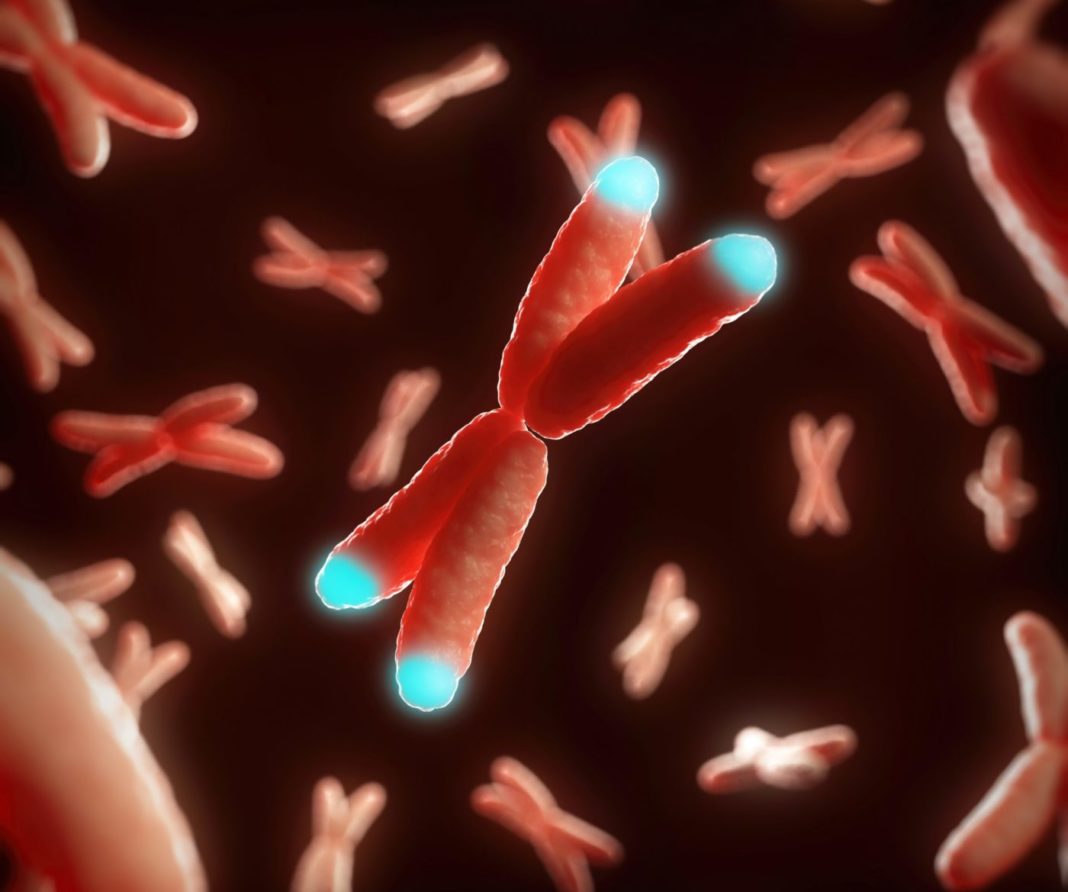 Telomeres length and aging. Telomeres length is connected with aging.