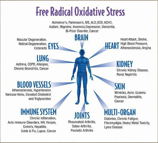 free radicals, oxidative stress