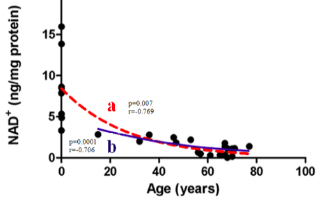 graph showing NAD+ levels decline with age