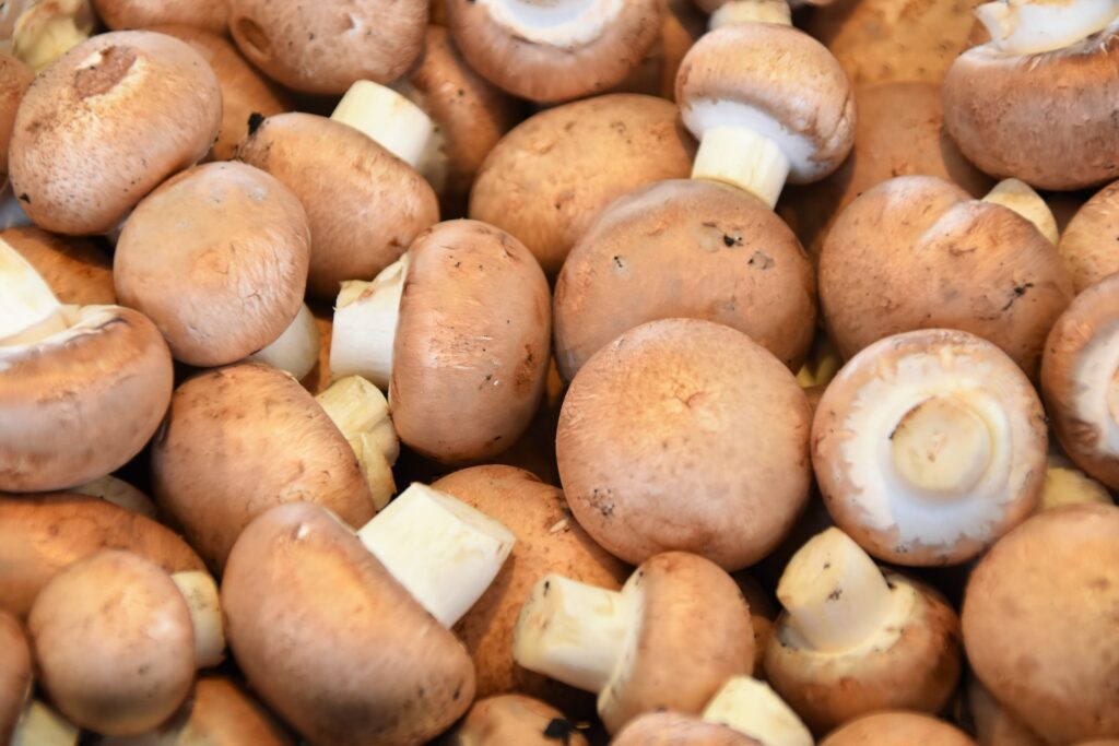 NMN foods. Mushrooms as NMN food