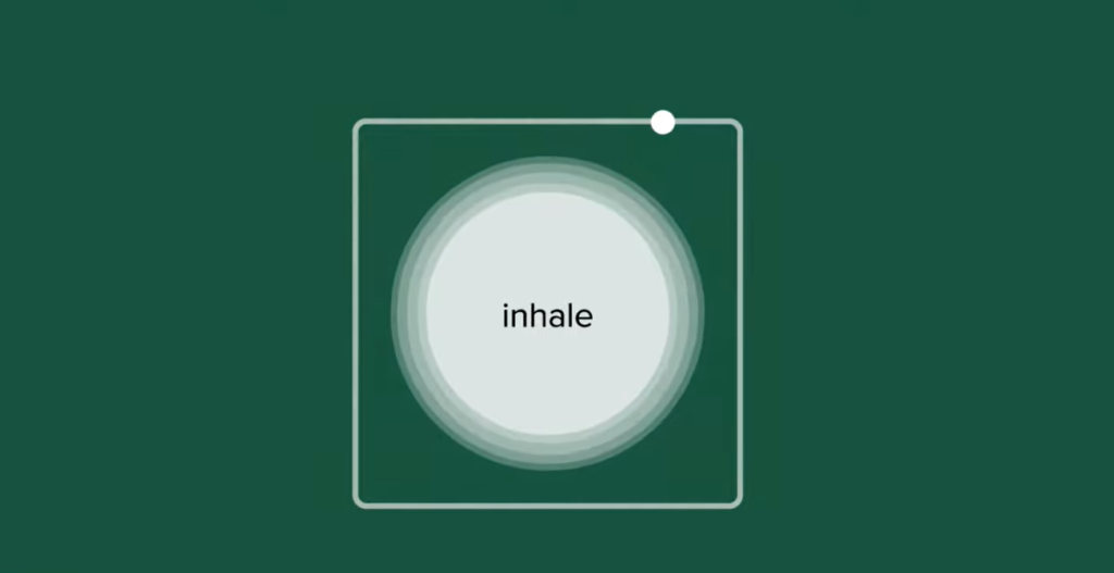 Guided 4-4-4 or bod breathing video