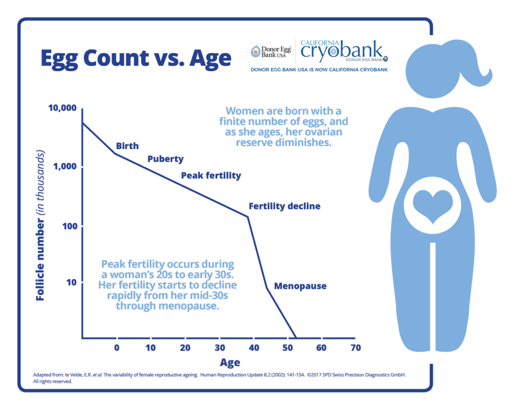 Age affects ovarian function and fertilirt