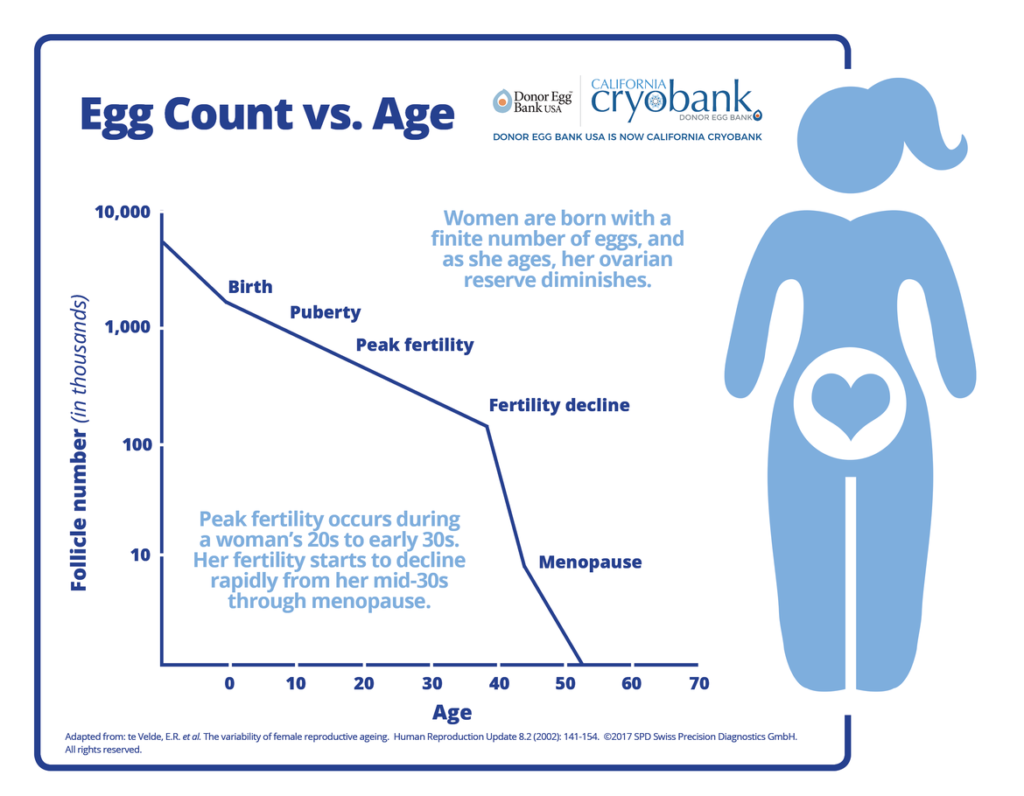 Can NMN Improve Fertility?  Hello100