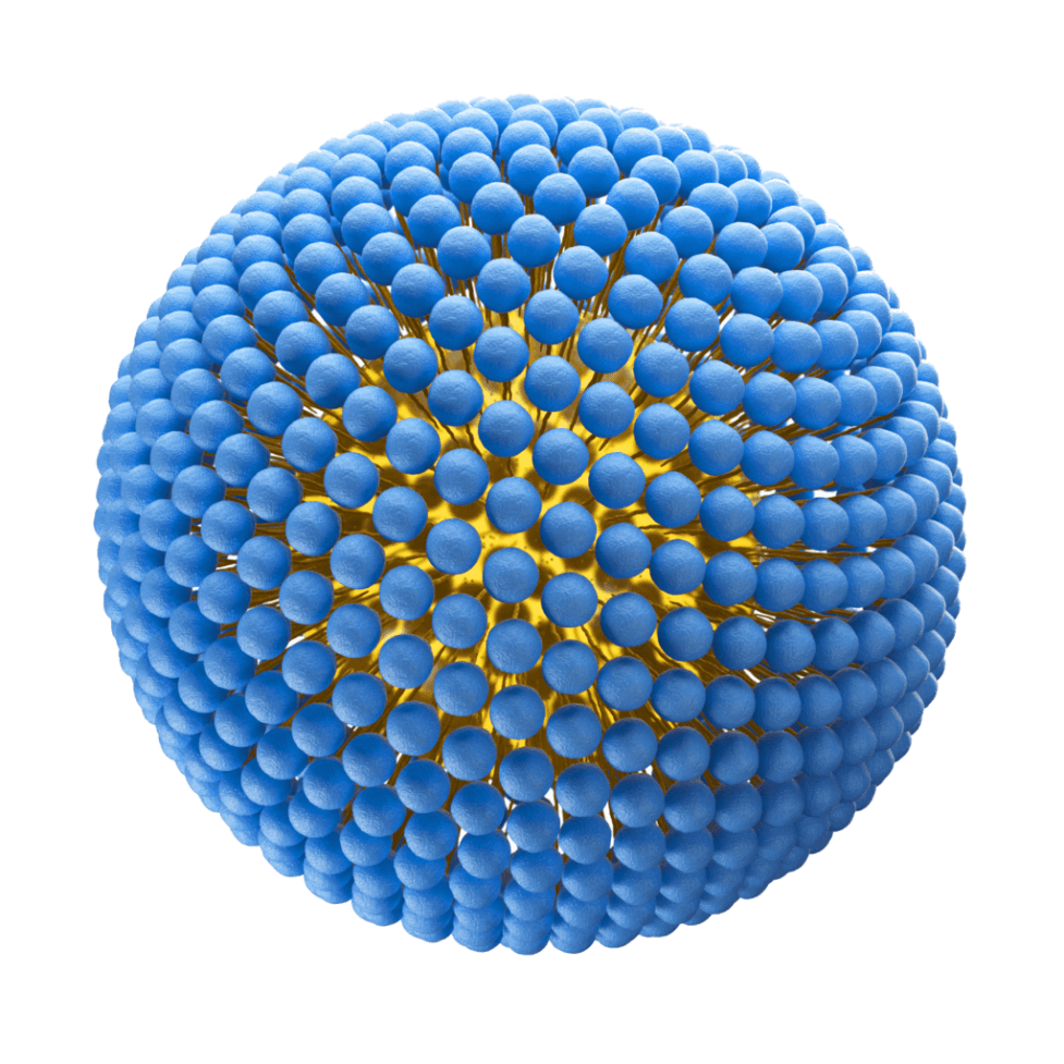 Liposomal NMN