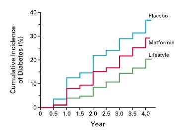 Incidence of diabetes development when nondiabetic people are given placebo, metformin, and lifestyle interventions. Image source: 
