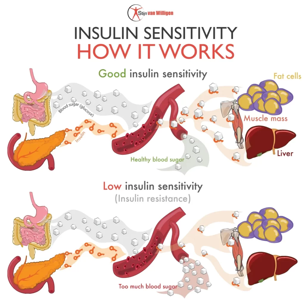 insulin resistance and sensitivity
