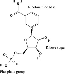 NMN as an anti-aging product 