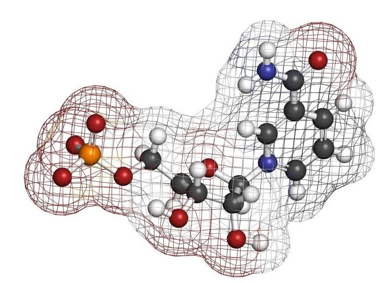 micotinamide mononucleotide structure