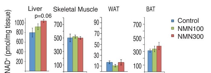 nmn dose depended effects on mad+ levels and nmn plasma levels