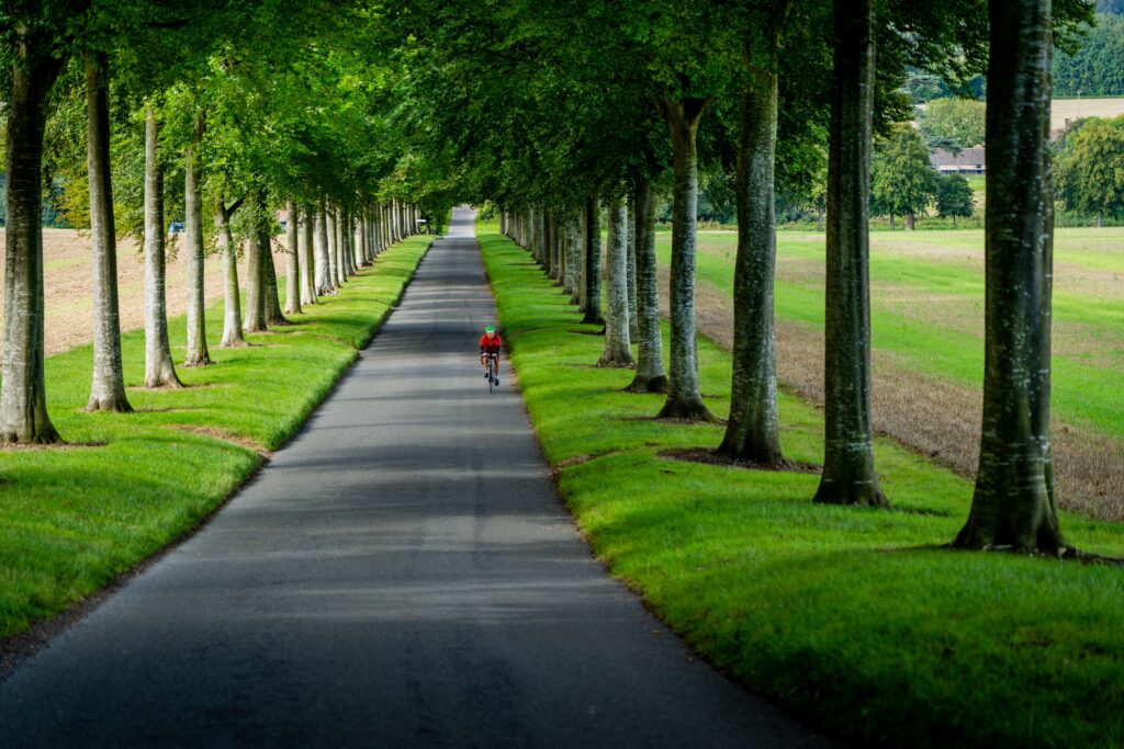 Bike ride in the nature